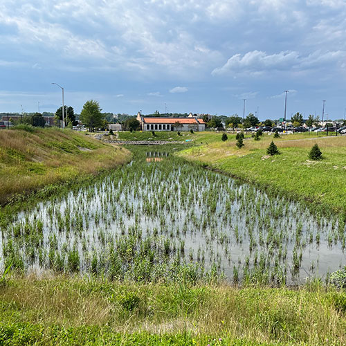 Long-Creek-South-Branch-1