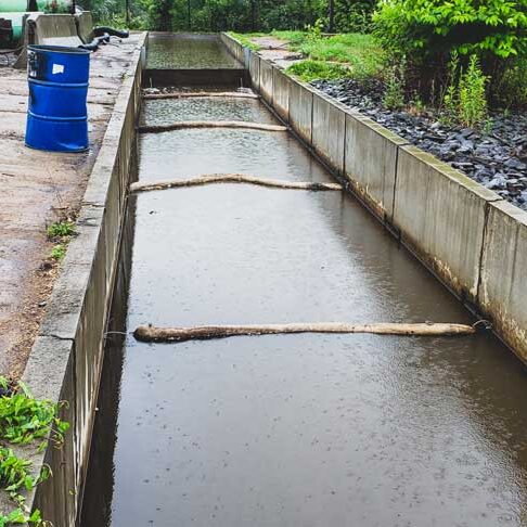stormwater-inspections-2 Stormwater Inspections